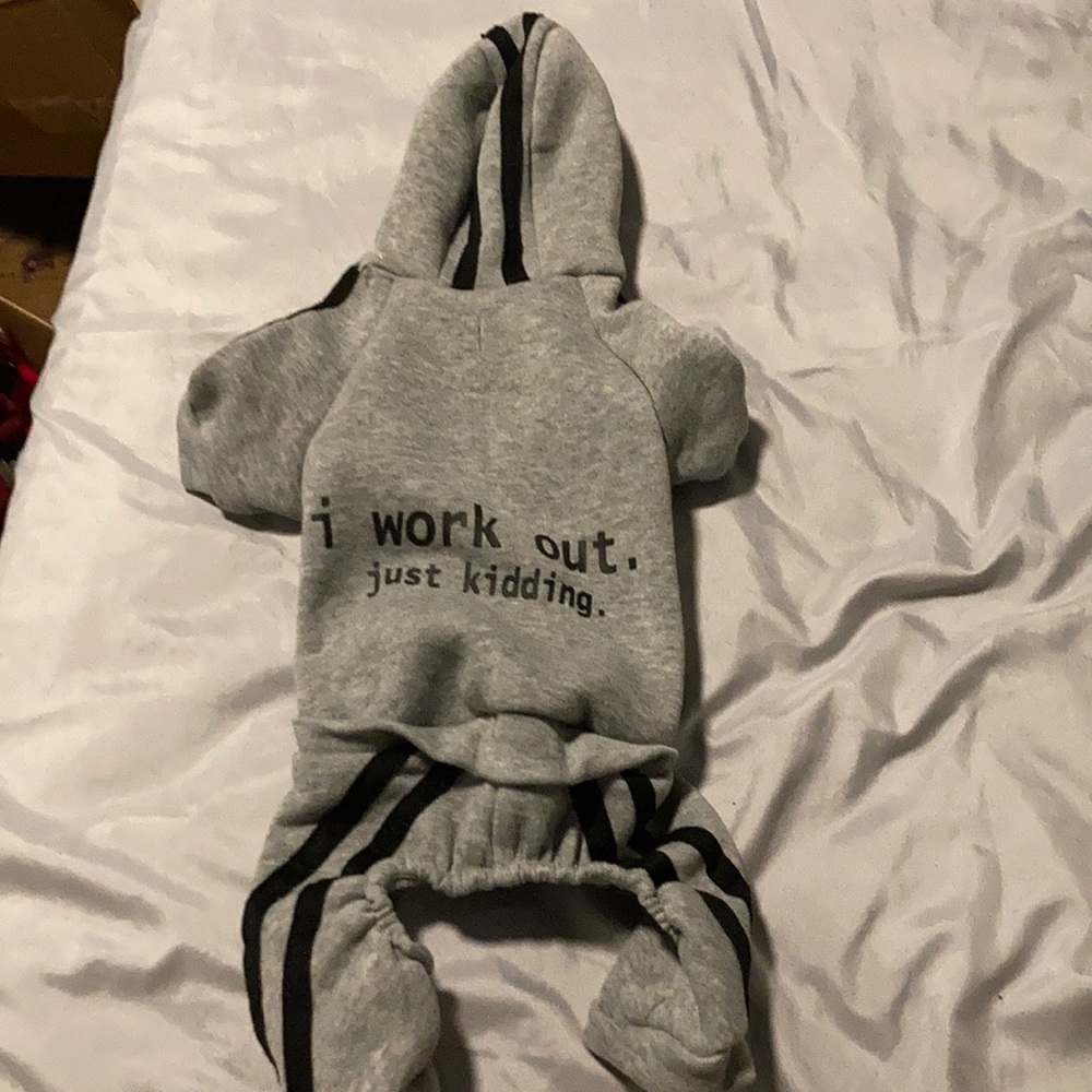 dog sweater